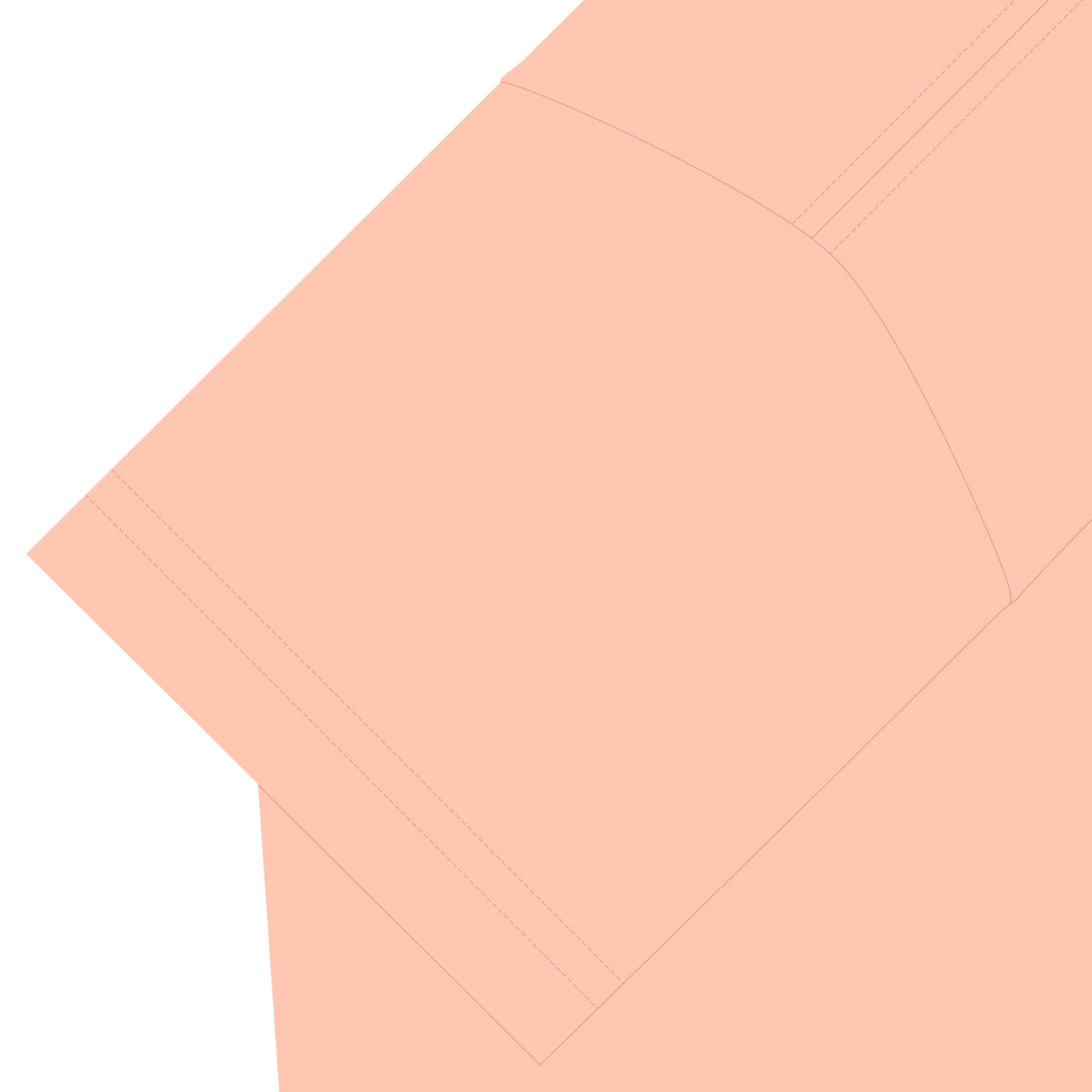 Ruby4.0@30 Spinel Tシャツ apricot image