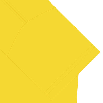 Ruby4.0@30 Spinel Tシャツ yellow image